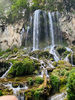 talerico823